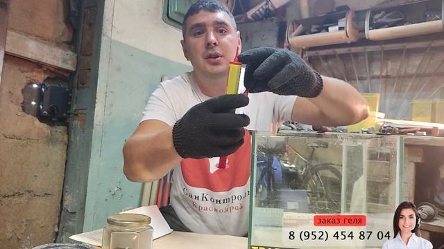 #Тестирует гель от тараканов (мот). #уничтожениенасекомых смотреть онлайн