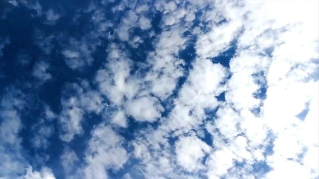 АНГЕЛ ВО ПЛОТИ смотреть онлайн