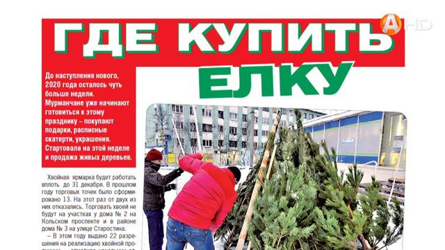 Где в Мурманске собирают зоопарк из бумажных животных, знает «Вечёрка» смотреть онлайн