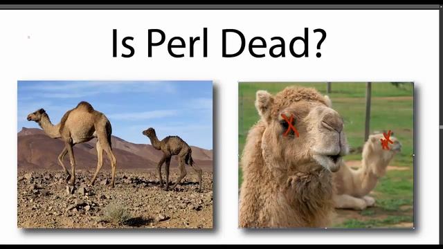 Is Perl Dead? смотреть онлайн