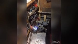 Форд фокус Замена подкрылки