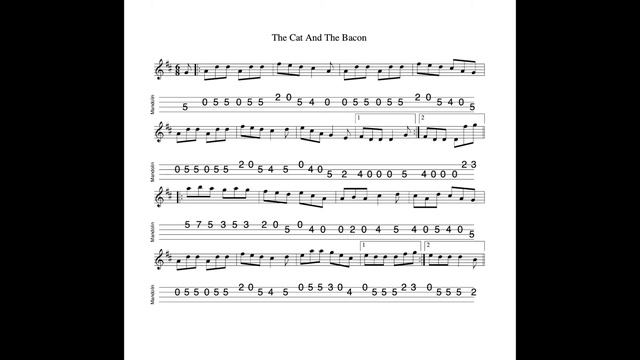 The Cat And The Bacon - a jig in D Major tabbed for mandolin and played by Aidan Crossey смотреть онлайн