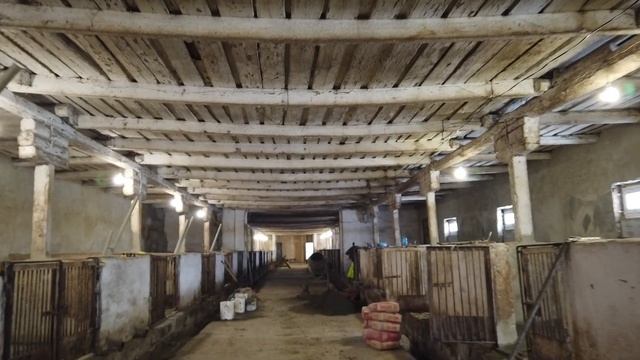 На меня напала свинья. Bonus выпуск смотреть онлайн