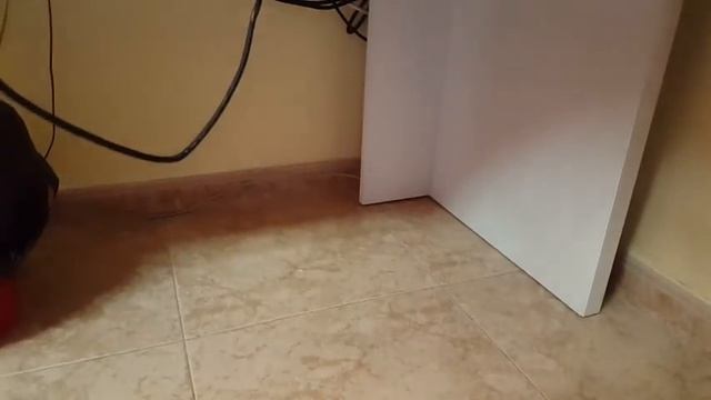 EL SET-UP GAMER DEFINITIVO! смотреть онлайн