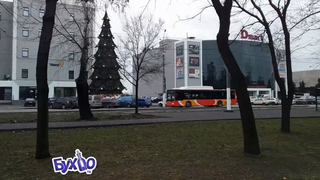 БУХЛО ТВ. БУДНИ АЛКАША. Ёлка, плинтуС и розетка... смотреть онлайн