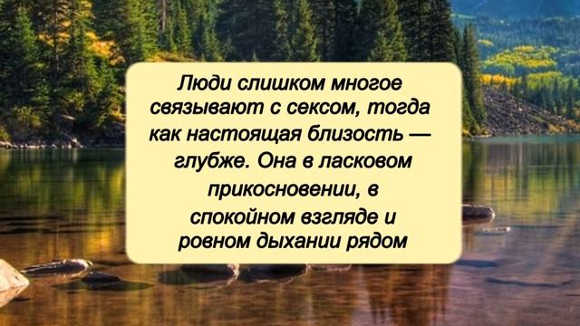 Эльчин Сафарли - цитаты о женщине, любви и счастье смотреть онлайн