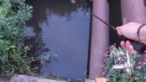 В КАНАЛИЗАЦИИ есть РЫБА?! | РЫБАЛКА в СТОЧНЫХ ВОДАХ города!