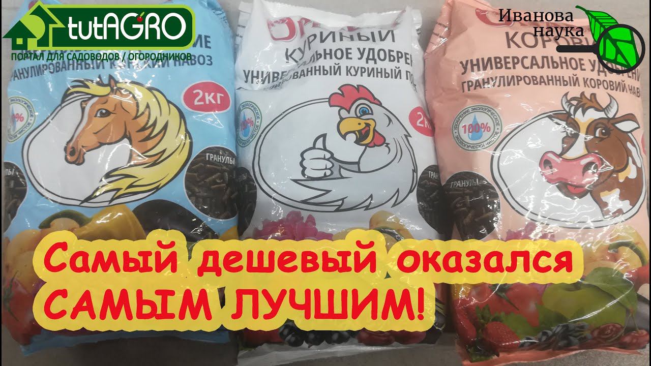 ВСЕ, ЧТО ВАЖНО ЗНАТЬ О ВЫБОРЕ ОРГАНИЧЕСКИХ УДОБРЕНИЙ! Иван Русских рекомендует для рассады! смотреть онлайн