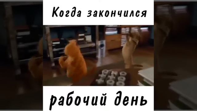 Когда закончился этот день смотреть онлайн