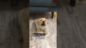 Повзрослел малыш😌