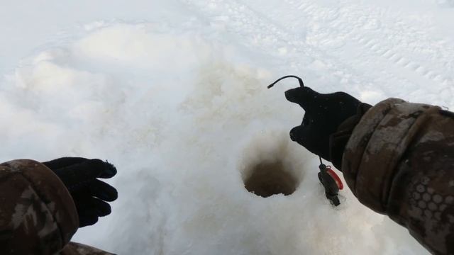 МЫ ИСКАЛИ НАШУ РЫБУ В ГЛУХОЗИМЬЕ И ОНА НАШЛАСЬ НА РЫБАЛКЕ ПО ЛЮБИМЫМ РЫБНЫМ МЕСТАМ ЯМАЛА! смотреть онлайн
