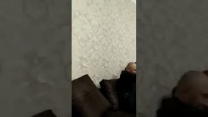 Про Учителей Гоготль , шуточная ,Авар Пандур МухаммадХабиб Гоготль Куяда