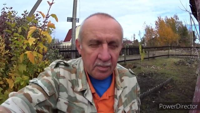 На даче осенью.Копаем грядки.Боремся с пеньками. Собираем медведок. Vlog.Брест смотреть онлайн