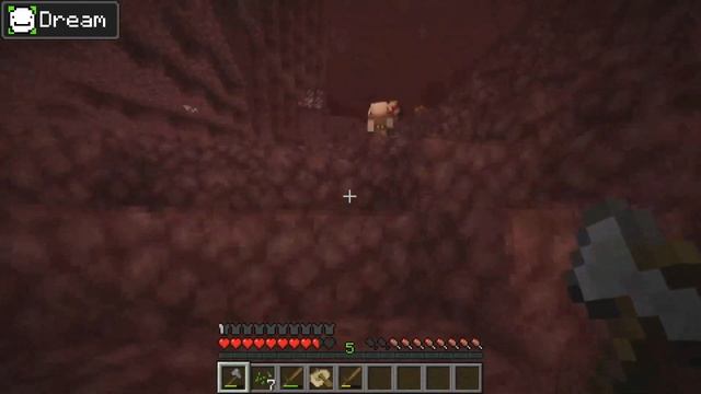 Dream VS Technoblade MANHUNT (Minecraft Speedrunner VS Hunter) смотреть онлайн