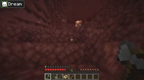 Dream VS Technoblade MANHUNT (Minecraft Speedrunner VS Hunter)