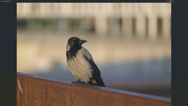 Gelöschte Fotos & Videos wiederherstellen | EaseUS Data Recovery Wizard [Deutsch] смотреть онлайн