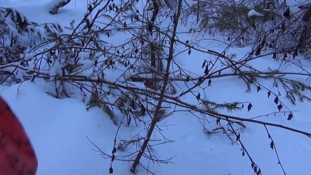 Озеро КРЕЧЕТ смотреть онлайн