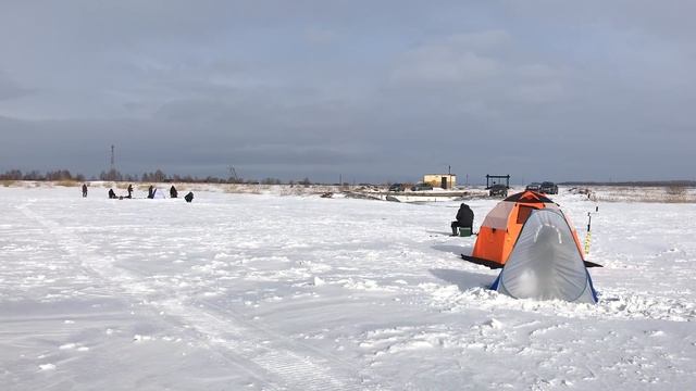 Ловля карася зимой. Первый опыт. Рыбалка в глухозимье 2019. Ловля на мормышку смотреть онлайн