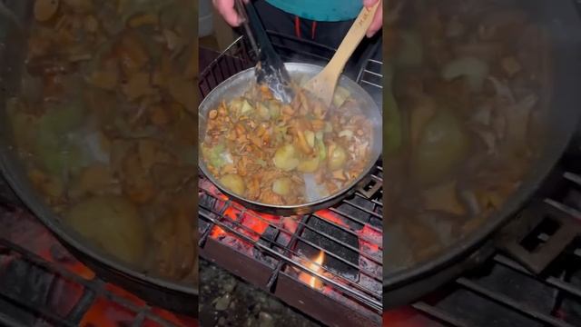 Грибы лесички ? смотреть онлайн