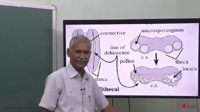 35.Botany | Reproductive Morphology | Anther types смотреть онлайн