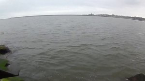 Балтийская коса. Калининградская область. Ловля салаки. Паром.