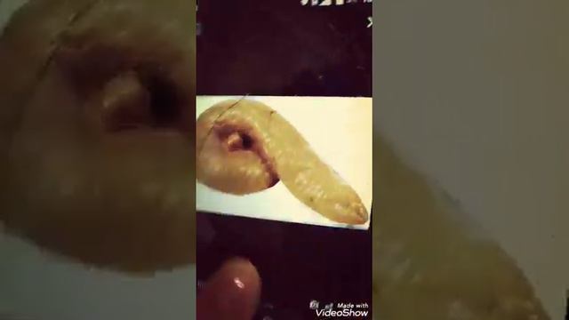 Что такое говно смотреть онлайн