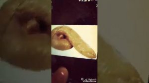 Что такое говно