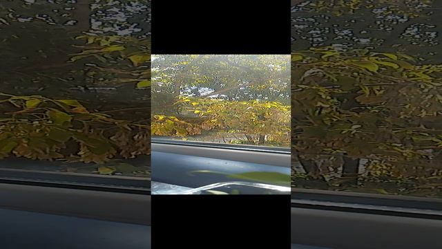 Каму как угодно