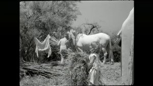 Белая грива, Дикая лошадь (1953, Франция) HQ