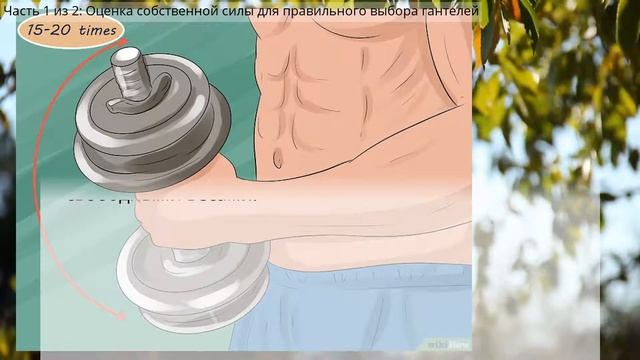 Как выбрать правильный вес гантелей