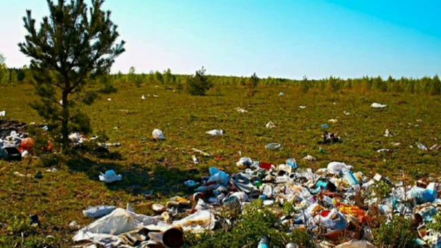 Берегите Землю - наш общий дом! смотреть онлайн