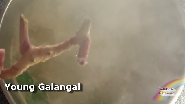 Coconut Milk Soup Recipe - Thai Inspired 