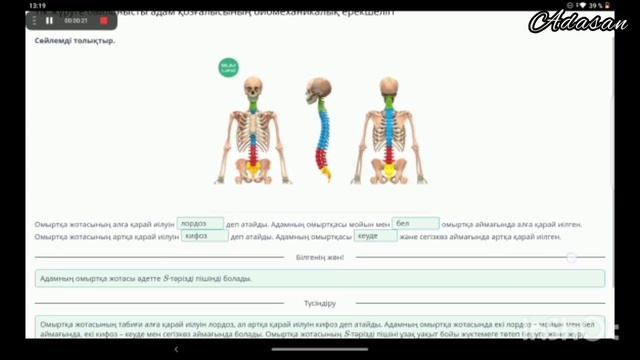 Тік жүруге байланысты адам қозғалысының биомеханикалық ерекшелігі Online Mektep 8 сынып