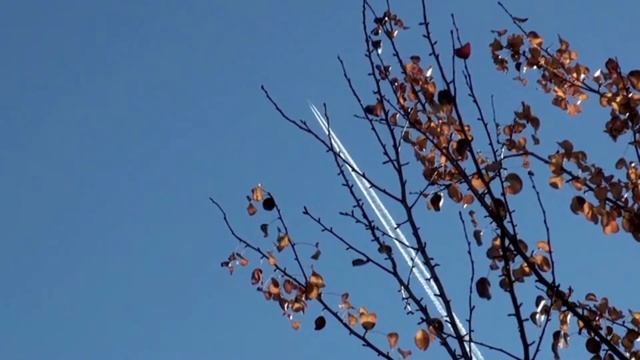 Что такое химиотрассы и существуют ли они вообще? смотреть онлайн