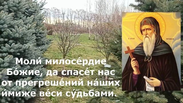 Православные молитвы от беды и несчастья Молитва от сглаза и порчи Преподобному Антонию Великому смотреть онлайн