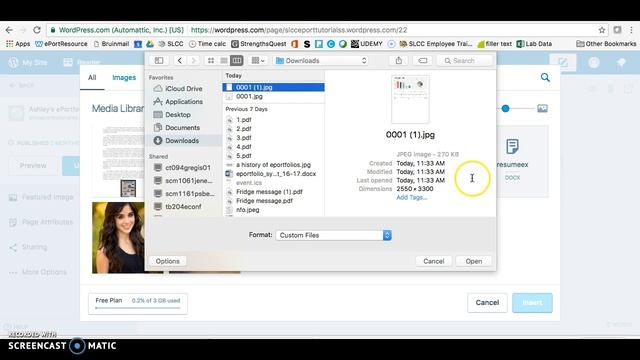 SLCC ePortfolio - WordPress: How to upload an Excel Document смотреть онлайн