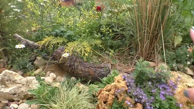 5 советов КАК СДЕЛАТЬ ПОДПОРНУЮ СТЕНКУ В САДУ из натурального камня. Без цемента. смотреть онлайн