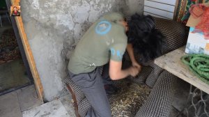 Вадик и ножовка