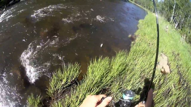 Немножко хариуса.... смотреть онлайн