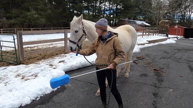 How to Clicker Train Your Horse смотреть онлайн