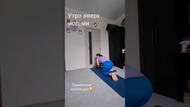 Утро вверх ногами ?♀️ #медитация #жизнь #образжизнижурова #эфирныемасла #дотерра #йога