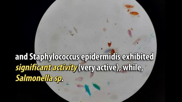 Harnessing the Therapeutic Potential of Sea Hare (Dolabella auricularia) Ink for Managing смотреть онлайн
