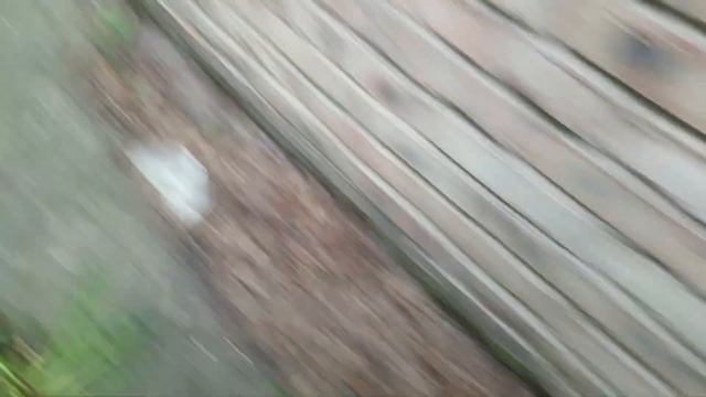 i opening intercoms 53 смотреть онлайн