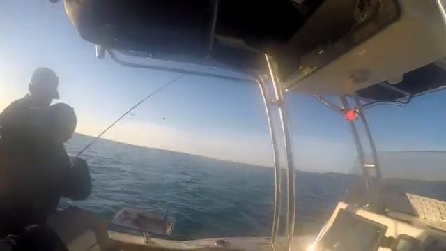 Русские на рыбалке в США, Key West, ловим акулу, хищная рыба, скоростной катер смотреть онлайн