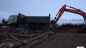 ВОЗИМ КУСТЫ СО ДНА  ОВРАГА /ЗДЕСЬ БУДЕТ БОЛЬШОЙ ПРУД /