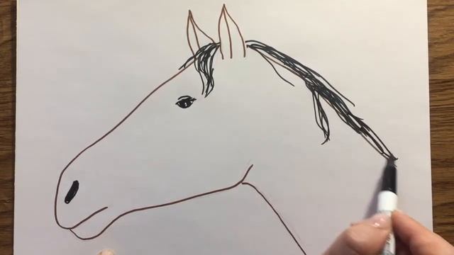 Как нарисовать голову коня. How to draw a horse head- for Kids смотреть онлайн