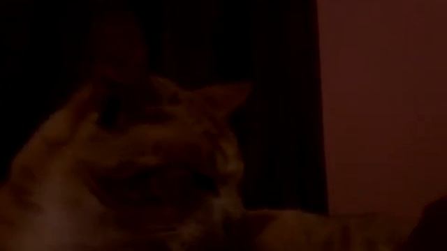 Como lavarse los dientes смотреть онлайн