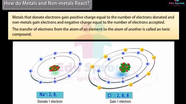 ? CBSE Syllabus Class 10 SCIENCE Lesson 23 - Metals And Non-Metals | CBSE | NCERT | State Board | смотреть онлайн