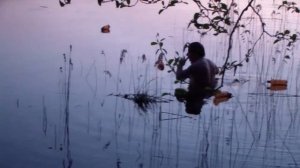 Ловлю раков на раколовки. Раковическое озеро.