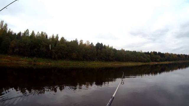 ЛОВЛЮ РЫБУ В ДИКИХ МЕСТАХ!! рыбалка на спиннинг 2021 смотреть онлайн